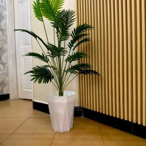 Small Potted Palm